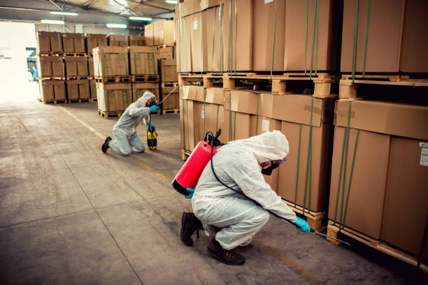 Best Pest Control Cost  in Applewood, CO