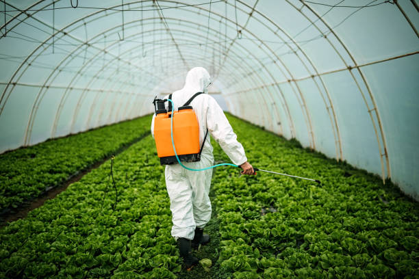 Best Commercial Pest Control Services  in Applewood, CO