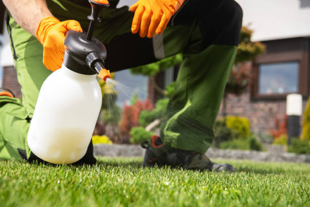 Trusted Applewood, CO Pest Control Experts