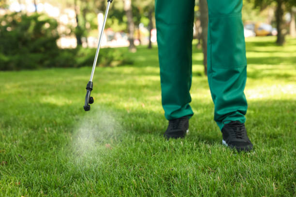 Best Best Pest Control Companies  in Applewood, CO