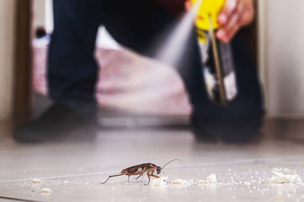 Pest Prevention Services in Applewood, CO